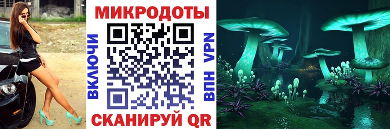 Галлюциногенные грибы MAGIC MUSHROOMS  кракен зеркало  Кущёвская 